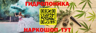 гидра Кузнецк