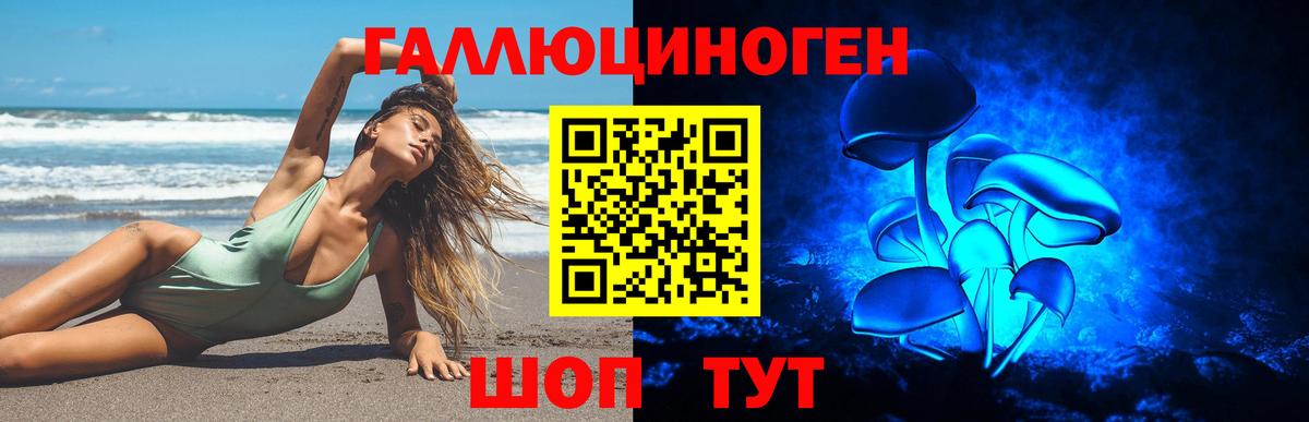 Псилоцибиновые грибы прущие грибы  Галлюциногенные грибы GOLDEN TEACHER  где найти   Красноуфимск  Вход с VPN 